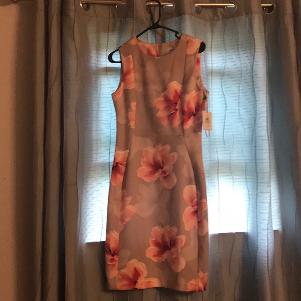 NWT, Great office dress. Taupe with pink flowers.